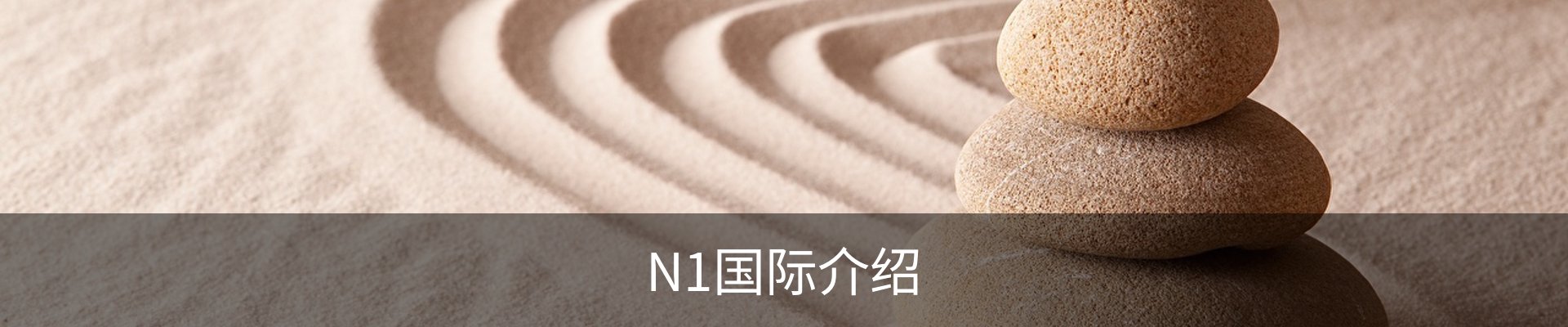 N1国际介绍